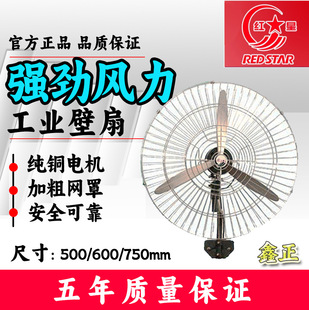 �t�Ǐ����L�ȹ��I�L��ţ���ȱ��Ȓ��ȫ�~30���L��FB6-75