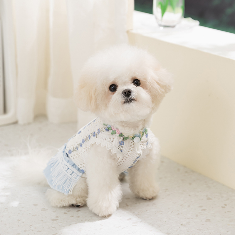 Robe à franges style coréen pour petits et moyens chiens_voghion.com