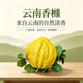 其他干货;蘑菇;其他方便食品