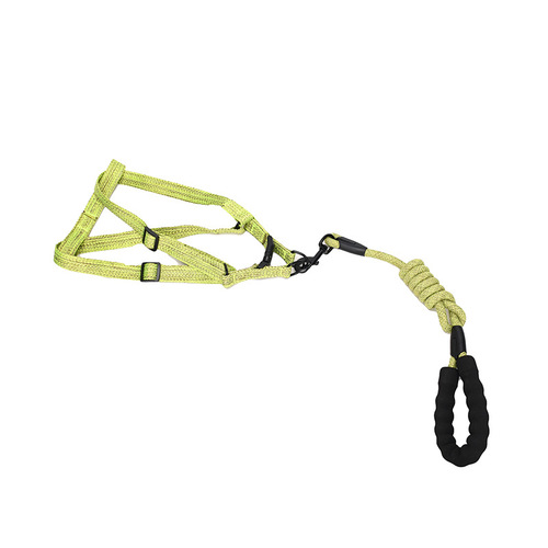 Dog Harness Leash for Medium to Large Dogs, Wholesale New Dog Harness Back and Chest Leash, Korean Style Leash for Outgoing Walks