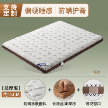 ��Ȼ���|����10cm�|1.8���o���o��1.5Ӳ�|���ۯB