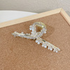 Acrylic hairgrip, big crab pin, hair accessory, shark, hairpins, simple and elegant design, South Korea, wholesale