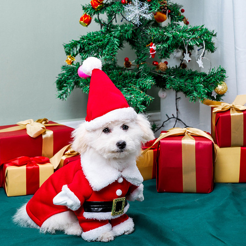 New pet three-dimensional Christmas suit Christmas hat dog clothes transformation outfit Christmas cat pet clothes