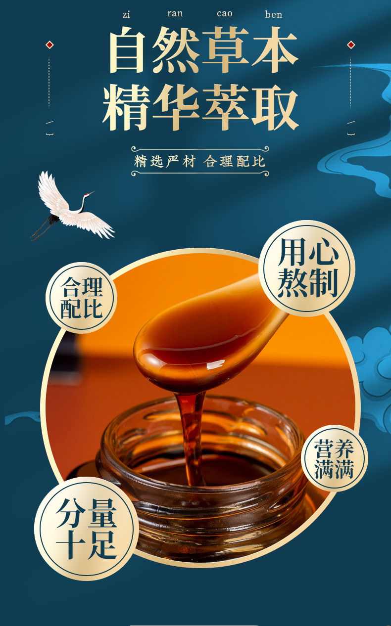 Dandelion Herbal Paste (Taraxacum mongolicum) — Traditional TCM Herbal Paste with Sea Buckthorn & Finger Citron, 300g Jar key features