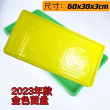 Ӳ�P�������������ľ�����~�������бP��������P