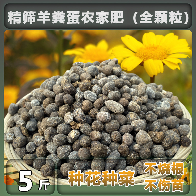 구매자의 95% 이상이 선택하는 엄선된 양분란 과립(전체 과립) 2.5kg개