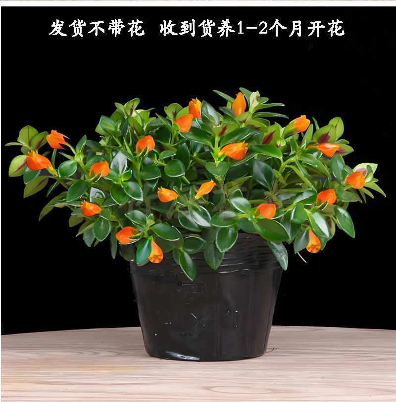 7f4e8fa7-a44c-40e9-a43a-4bb6d2b79c40.jpe