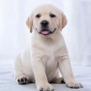 ���N����������Ȯ���w����Ȯ��äȮ��ȮС�߽�ëȮ��Ȯ���B���ﹷ