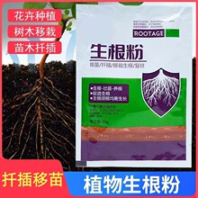 �����������Ѹ�����Ǥ���ľ�ƻ����������������Һ�����砀��