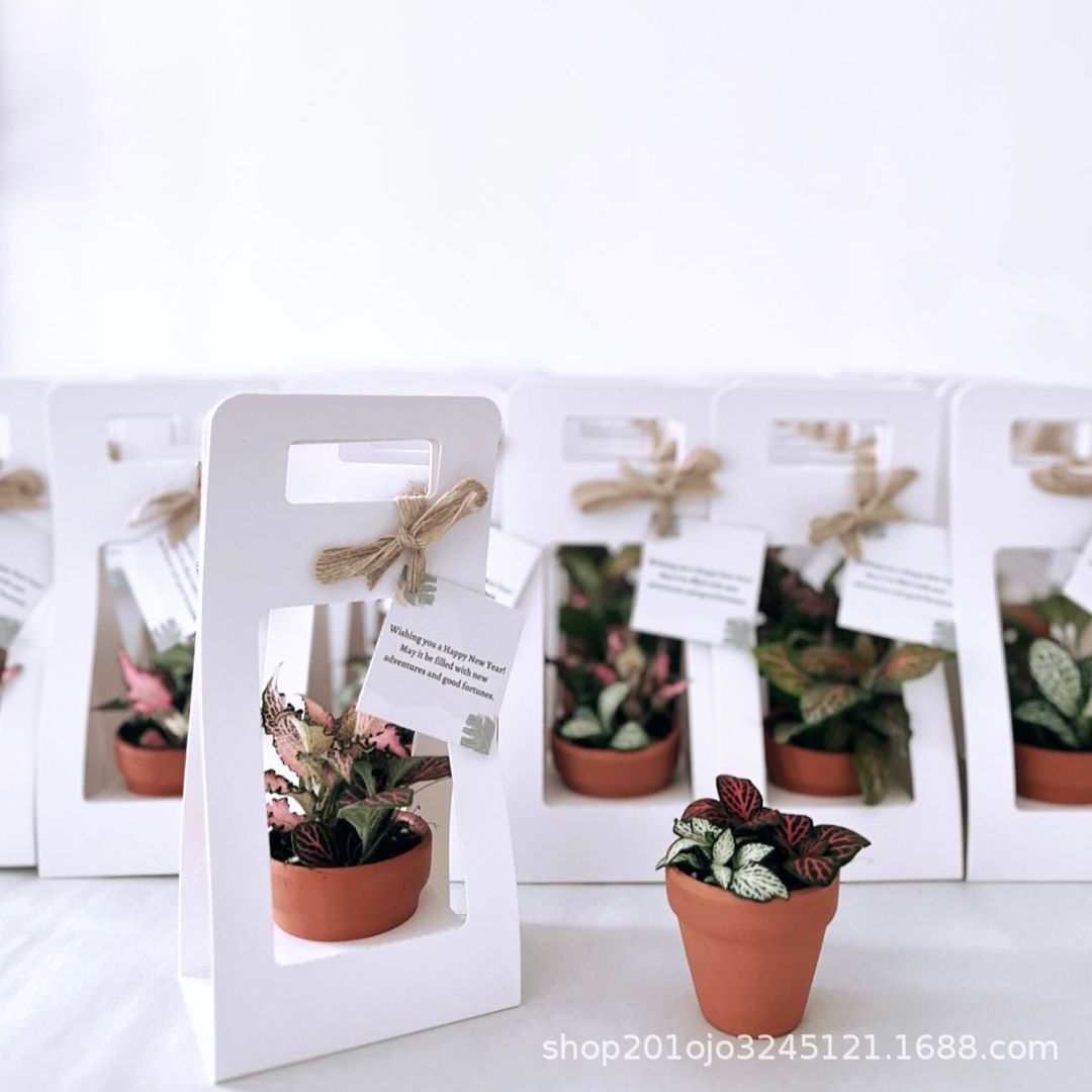 小小盆栽无挡板 (7).jpg