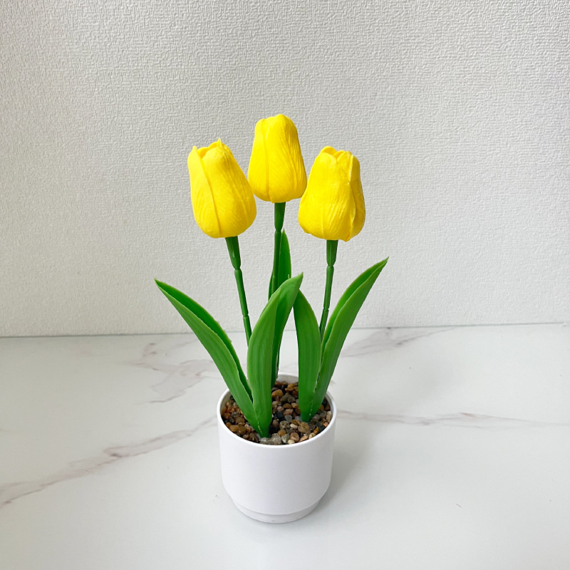 노란색(높이 25*가로 10cm)