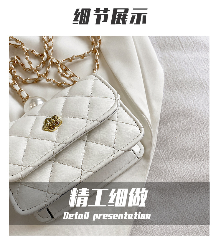 Fashion Chain Shoulder Messenger Small Square Bag Wholesale display picture 25
