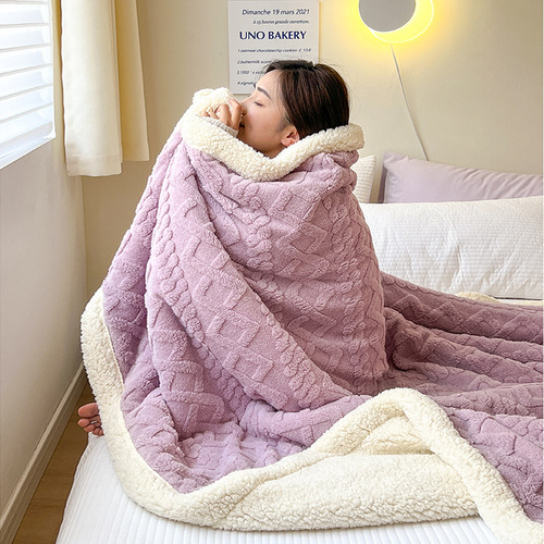 Amazon Lamb's Down Blanket Winter Thickened Warm Blanket Nap Blanket Taffeta Blanket Flannel Solid Color Cover Blanket