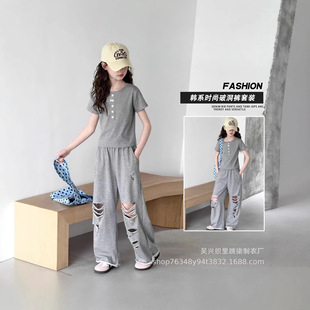 2026�ļ��¿��nϵ�r�����e������T���ƶ����ѝ���b�ļ����~