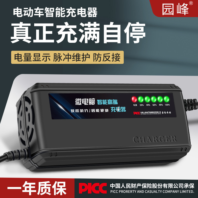 Cross-Border Export Manufacturer Chaowei Tianneng Battery Electric Vehicle Battery Charger 48V60V20A72V Automatic Shutdown Cross-Border Export Manufacturer Chaowei Tianneng Battery Electric Vehicle Battery Charger 48V60V20A72V Automatic Shutdown