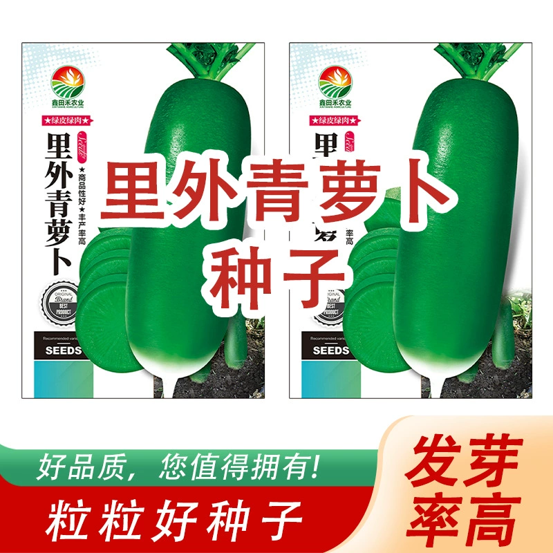 Оптовые семена редиса для всходов в любое время года, внутри и снаружи, хрустящие и сладкие, крупные круглые семена с зеленой кожурой, сладкие и хрустящие.