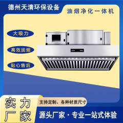 静電式環境保護油煙浄化一体機工業油煙浄化設備ステンレス厨房煙カバー