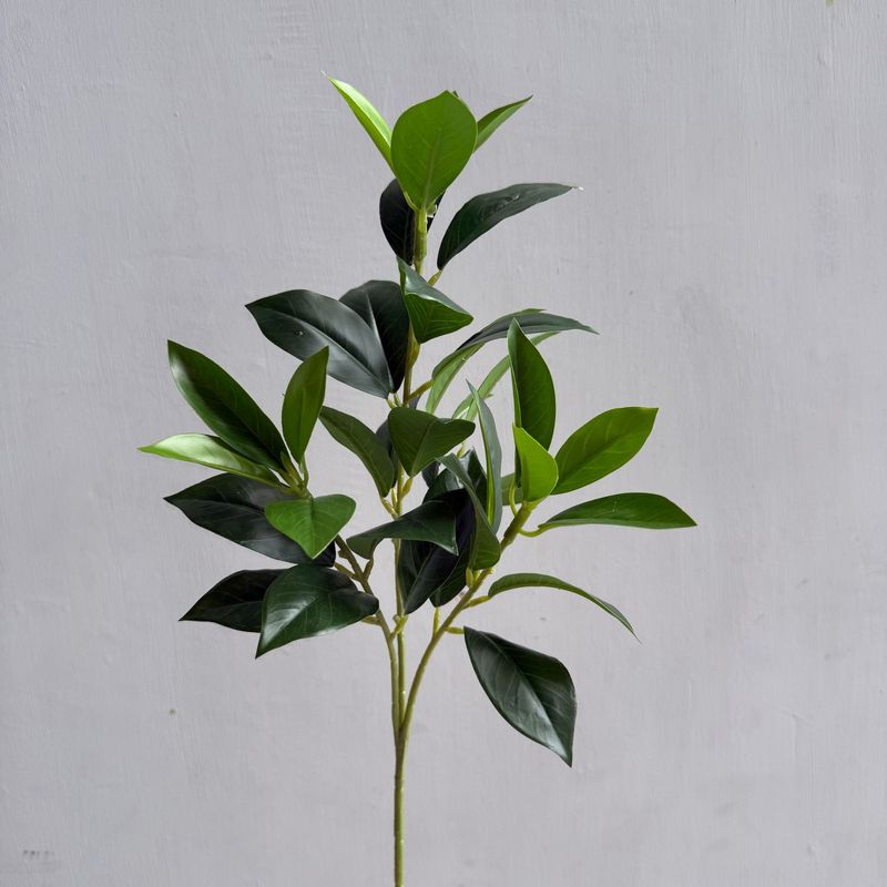 仿真柠檬叶 桔叶 桂花月桂叶 茶树叶 手感叶子植物造景树装饰家居|undefined