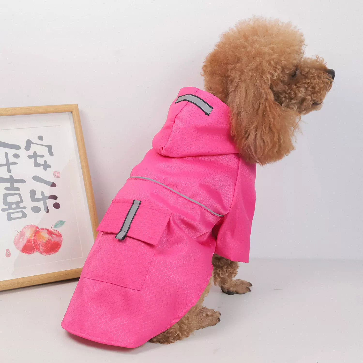 亚马逊狗狗雨衣带反光条可锁眼泰迪比熊防水衣服中小型犬宠物雨衣