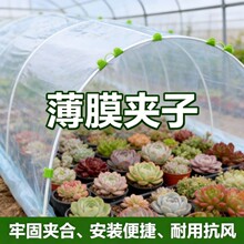 ����Ĥ�̶����L�A�����￨�ۡ�������ů����Ĥ�A����ꖾW���ۺ���