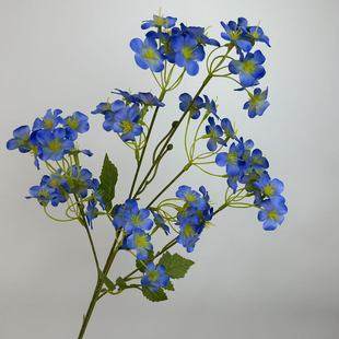 ������ͩ���滨��@�L�҃ȼҾӿ͏d�廨�b��滨��c�ٻ�����