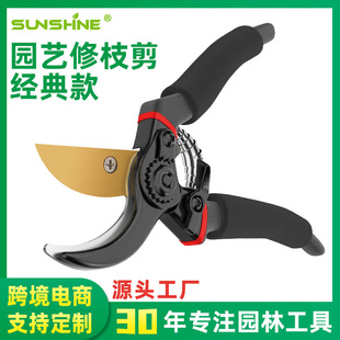�@�ֹ�����֦���辰�@ˇ���޼���֦���mʡ����ˇ����Դ�^���S���l