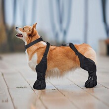 E 14212 Dog Dust Proof Full Body Cover ���������� �羳����