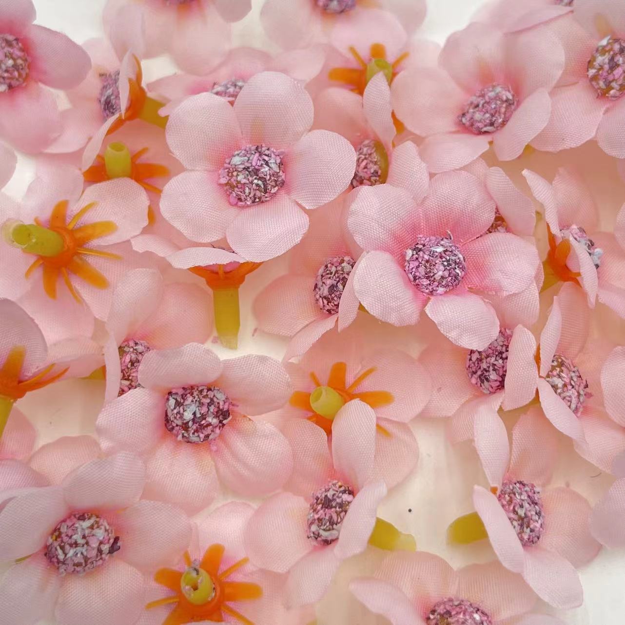 微信图片_202502271919242