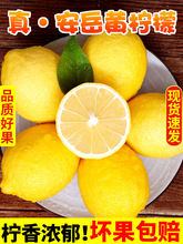 四川安岳黃檸檬新鮮水果皮薄當季整箱精選香水甜青檸檬百香果特產