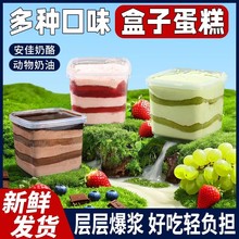 奶酪罐子盒子蛋糕动物奶油千层巧克力芋泥甜品点心休闲零食品面包