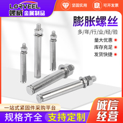 304ステンレス鋼外膨張ネジ延長膨張ボルト引っ張り膨張ネジM6-M20
