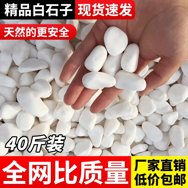 White Stones Courtyard Landscape Paving Pebbles Fish Tank Succulent Potted Paving Garden Decoration White Large and Small Stones