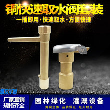 黄铜快速取水阀取水器 6分1寸园林绿化取水器 草坪铜洒水栓钥匙杆