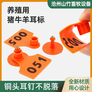 �iţ����߶��˫F�ö����������Bֳ��̖���Bֳ�����������R��ţ