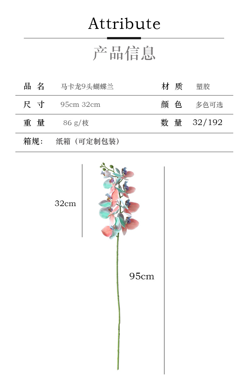 马卡龙9头蝴蝶兰_03.jpg