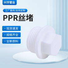 ����20���ϏSPPR�ܲĹܼ����l PPR�z�� ��z���������^�ܶ�