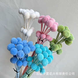 黄金球永生花真花干花花束创意手工DIY花材配花配草家居装饰摆件