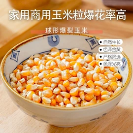 玉米