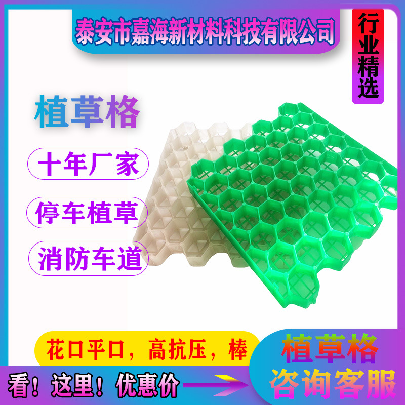植草格厂家供应消防通道植草砖园林绿化护坡草坪停车塑料植草格