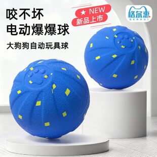 �����������������������␞�S�C���S�c�L�ӱ������Ȯ�≺