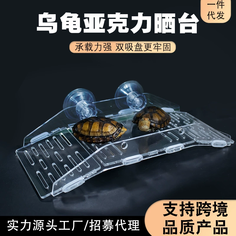 Акриловая черепаха сушится на платформе присоска арочный мост