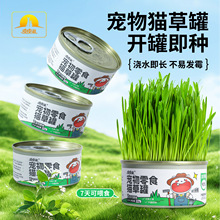 ƤƤ�Ԍ���؈�ݹޑ���؈�ݷNֲС�����b؈����ʳ��ë�� ؈����ʳ