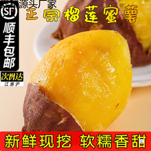 ��ɏ�����z�t�����ķ������rܛŴ���𿾹�35���b