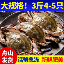 海鲜鲜活特大3斤装4只舟山梭子蟹冷冻新鲜大海螃蟹白蟹无负担零食