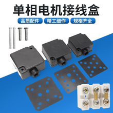 늄әCӾӾӾӾӱoYL늙C