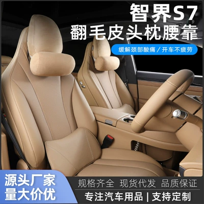 Waist support – for All Smart Car Headrests