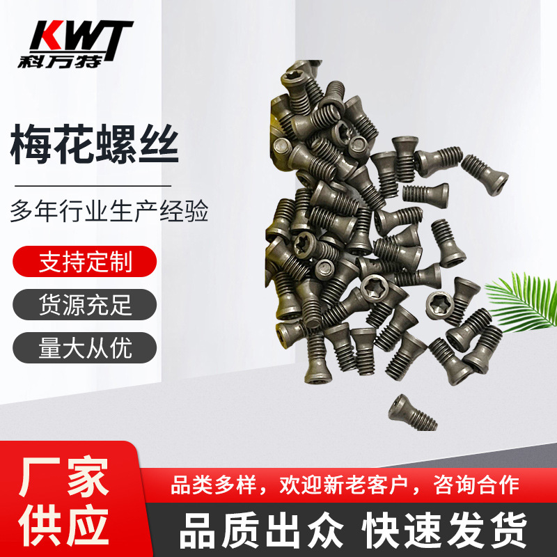 厂家供应梅花螺丝  刀粒螺丝批发 数控刀杆螺丝批发 刀盘螺丝批发