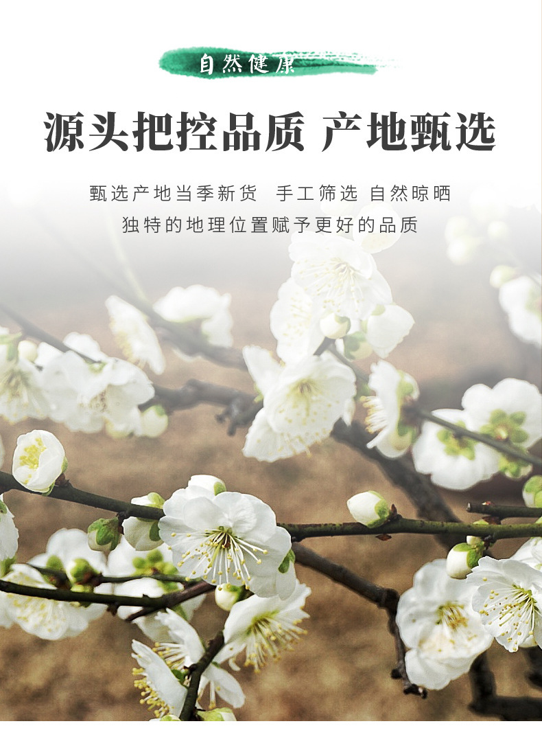 Green Plum Blossom Tea Lü E Mei Hua Dried Flower Buds 20g Bottle Traditional Herbal Infusion quality and texture