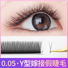0.05yy��ëƽ�ȹ��S���l�޽Ӿ���ëy�ͷNֲ�ٽ�ë���޵ꌣ�þ��N