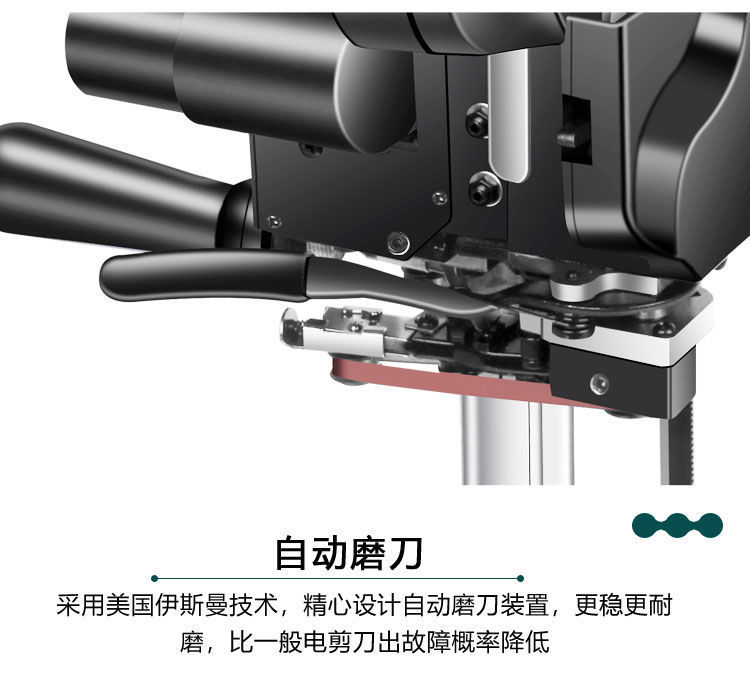 b3e400f5-62c6-4de8-a040-11155b6c3026.jpe